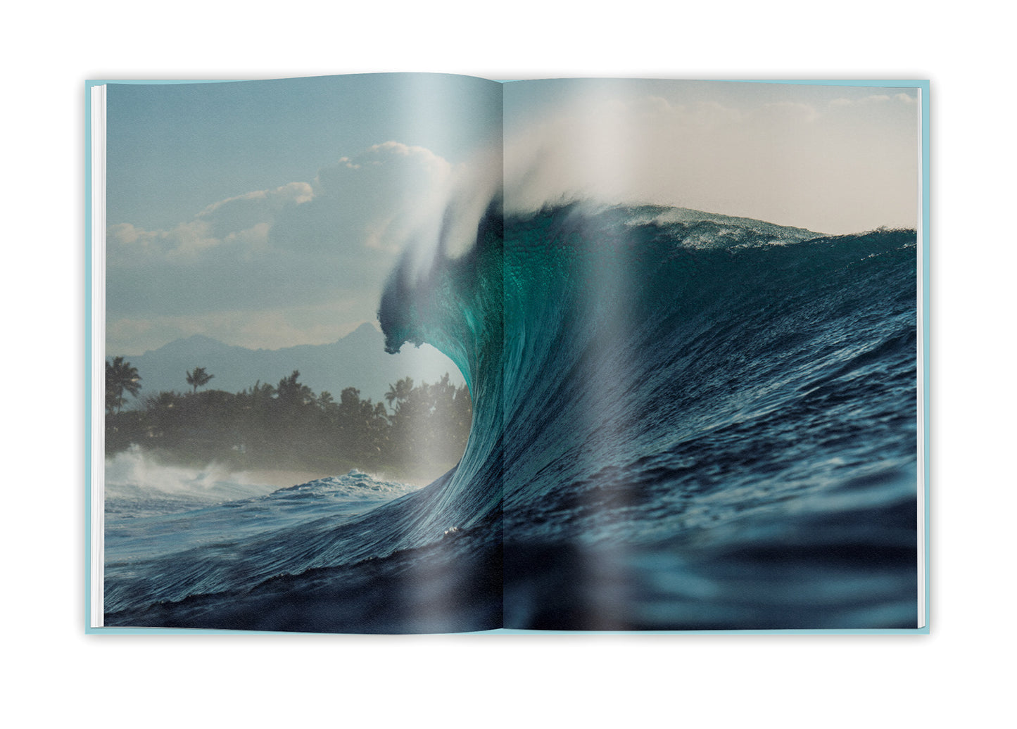 Surf Like a Girl book | Carolina Amell | Backcountry Books