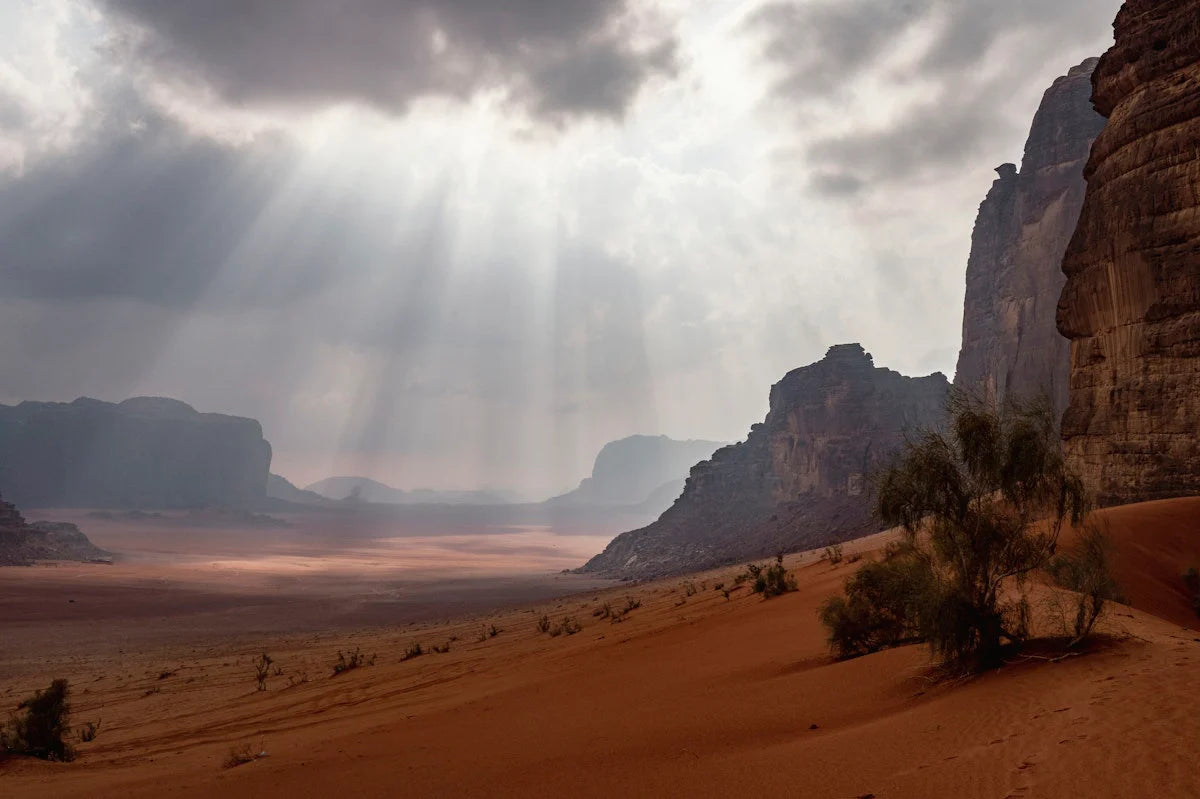 Voyages : Sidetracked Beyond | Backcountry Books