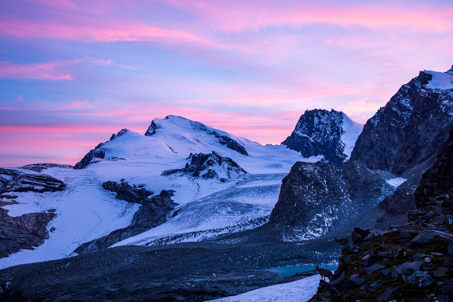 Hiking the Tour of Monte Rosa Guidebook | Backcountry Books