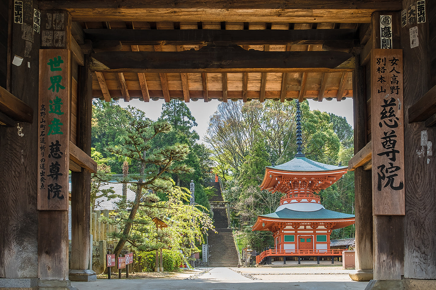 Japan's Kumano Kodo Pilgrimage | Nakahechi, Koyasan, Kohechi, Iseji and Hongu trails