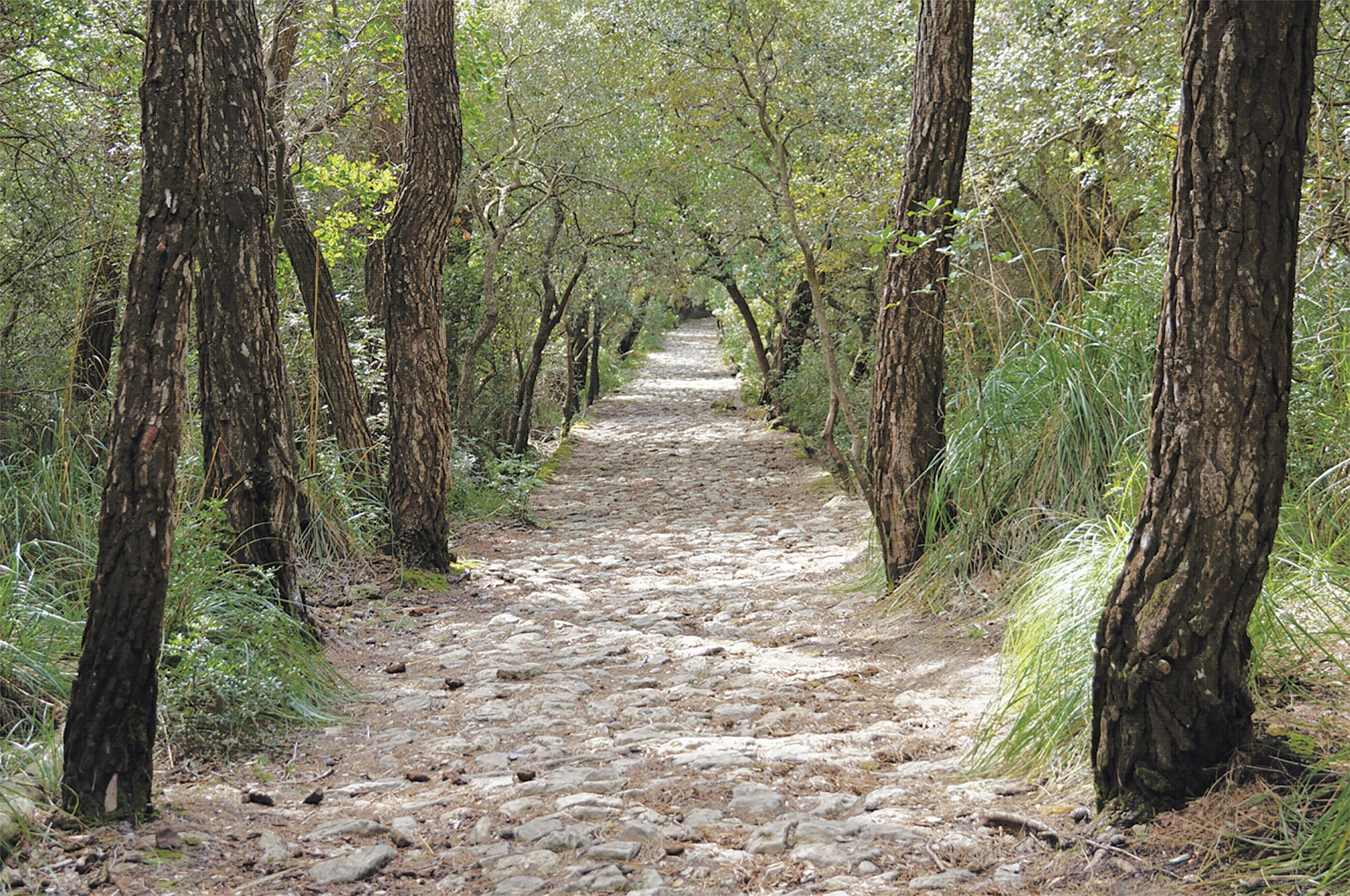 Trekking in Mallorca GR221 - The Drystone Route through the Serra de Tramuntana | Backcountry Books