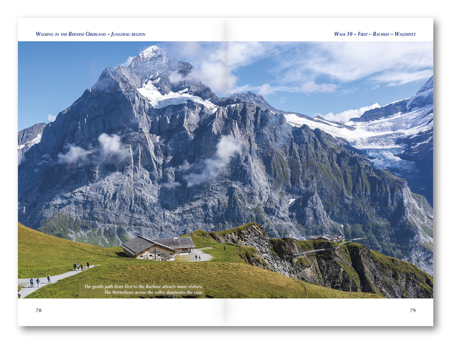 Walking in the Bernese Oberland Jungfrau Region | Backcountry Books