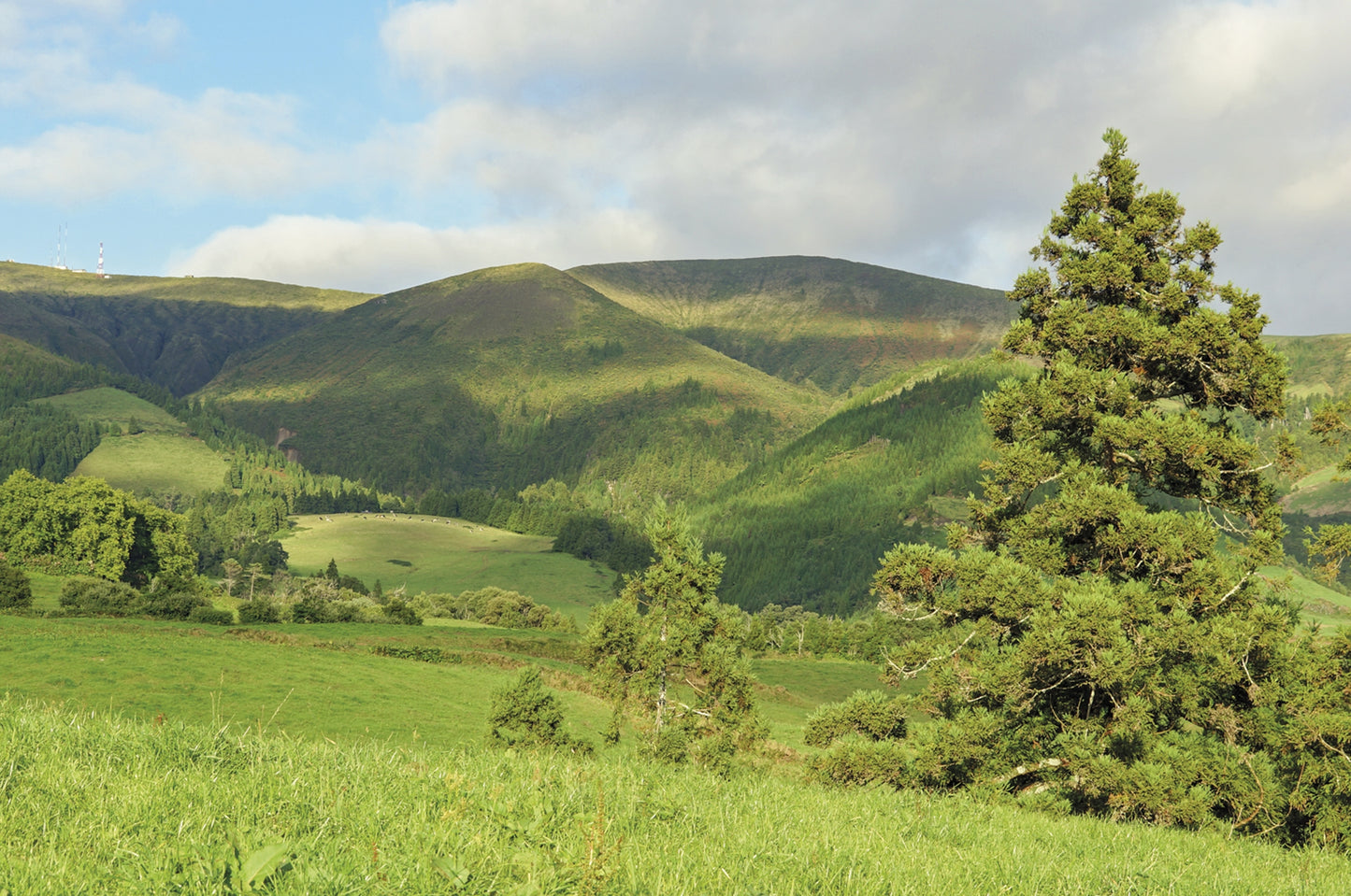 Walking on the Azores | 70 routes across Sao Miguel, Santa Maria, Terceira, Graciosa, Sao Jorge, Pico, Faial, Flores and Corvo