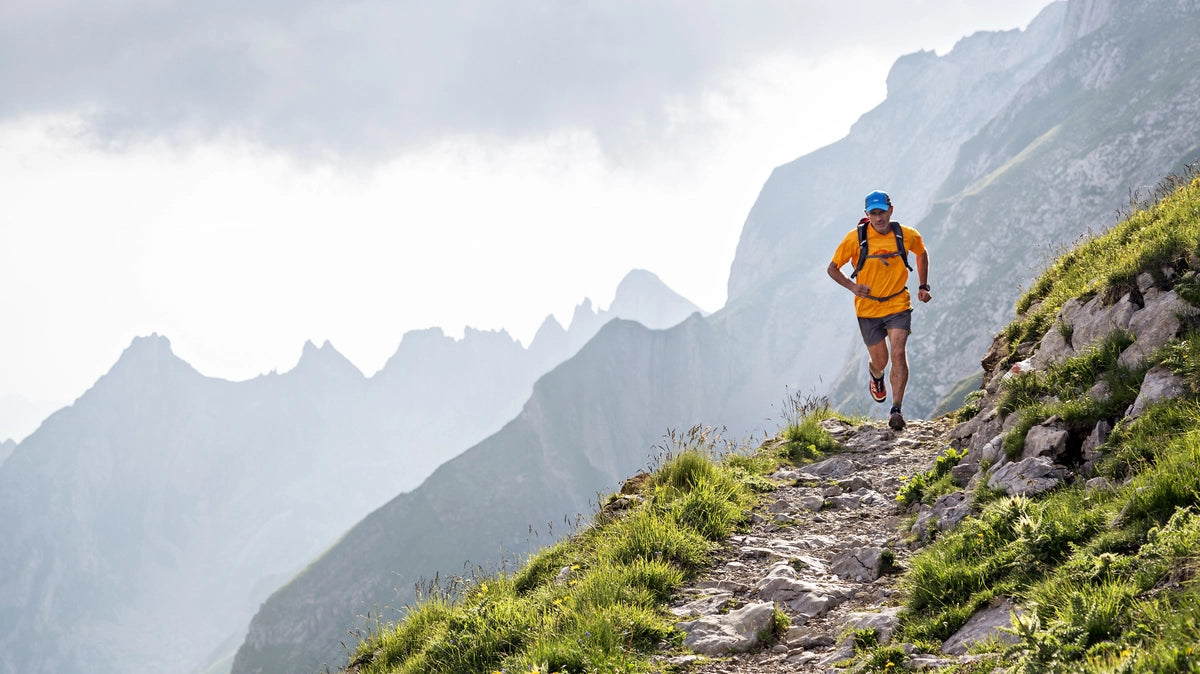 Run the Alps Switzerland | Backcountry Books