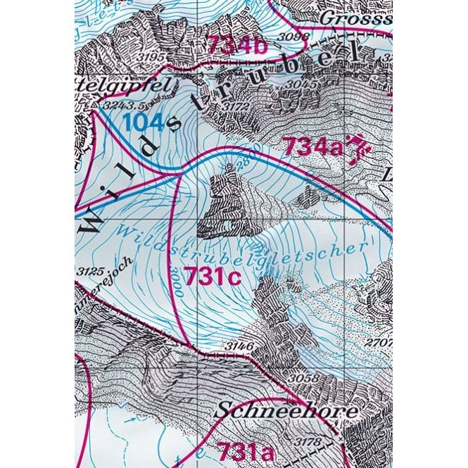 Swisstopo 263S Wildstrubel Ski Map | Backcountry Books