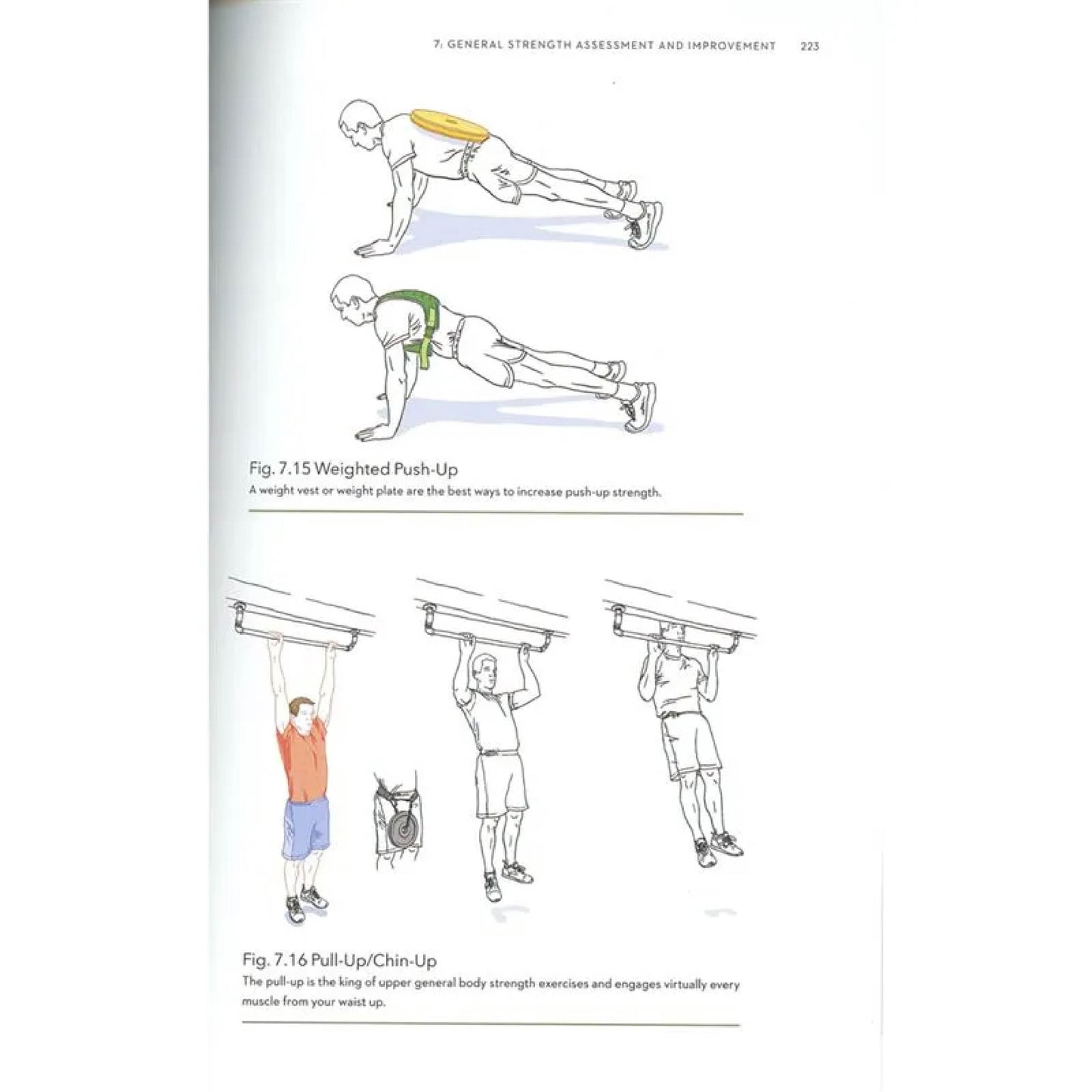 Training for the Uphill Athlete | Backcountry Books